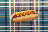 Big Hot Dog (working title)