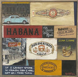 Havana Nights