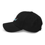 All of these things are not like the other Dad hat