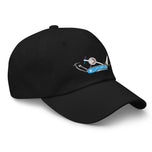 All of these things are not like the other Dad hat