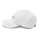 All of these things are not like the other Dad hat