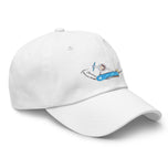 All of these things are not like the other Dad hat