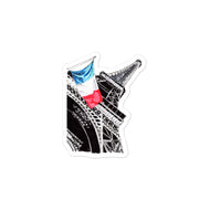 Viva La Re'volution Kiss-cut vinyl decals